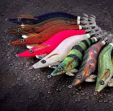 Rui Fishing Tackles